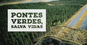 Pontes Verdes ajudam a salvar vidas dos animais nas estradas.