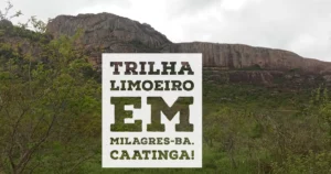 Trilha Limoeiro em Milagres-Ba. Caatinga!
