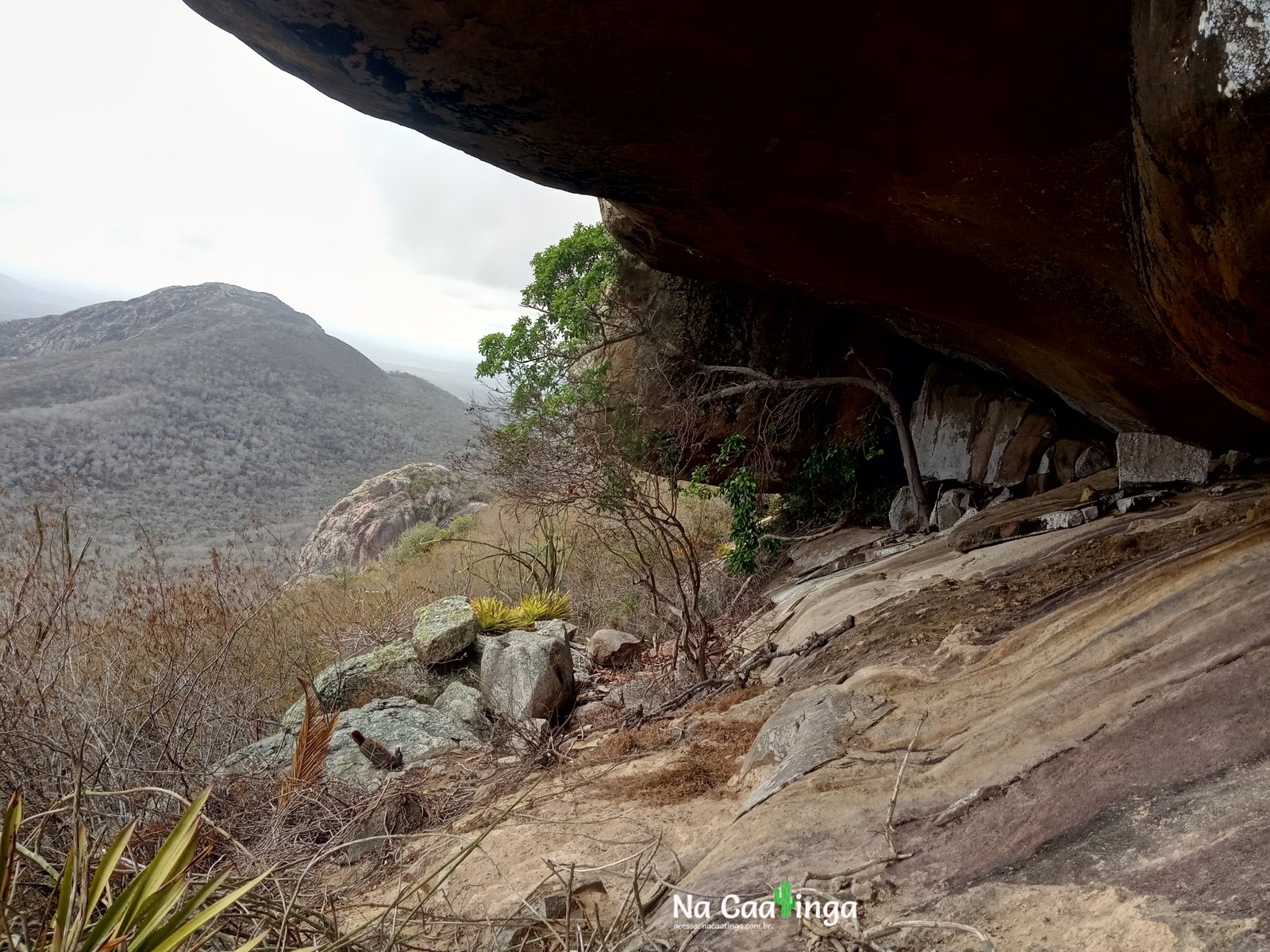 Caverna-Caatinga
